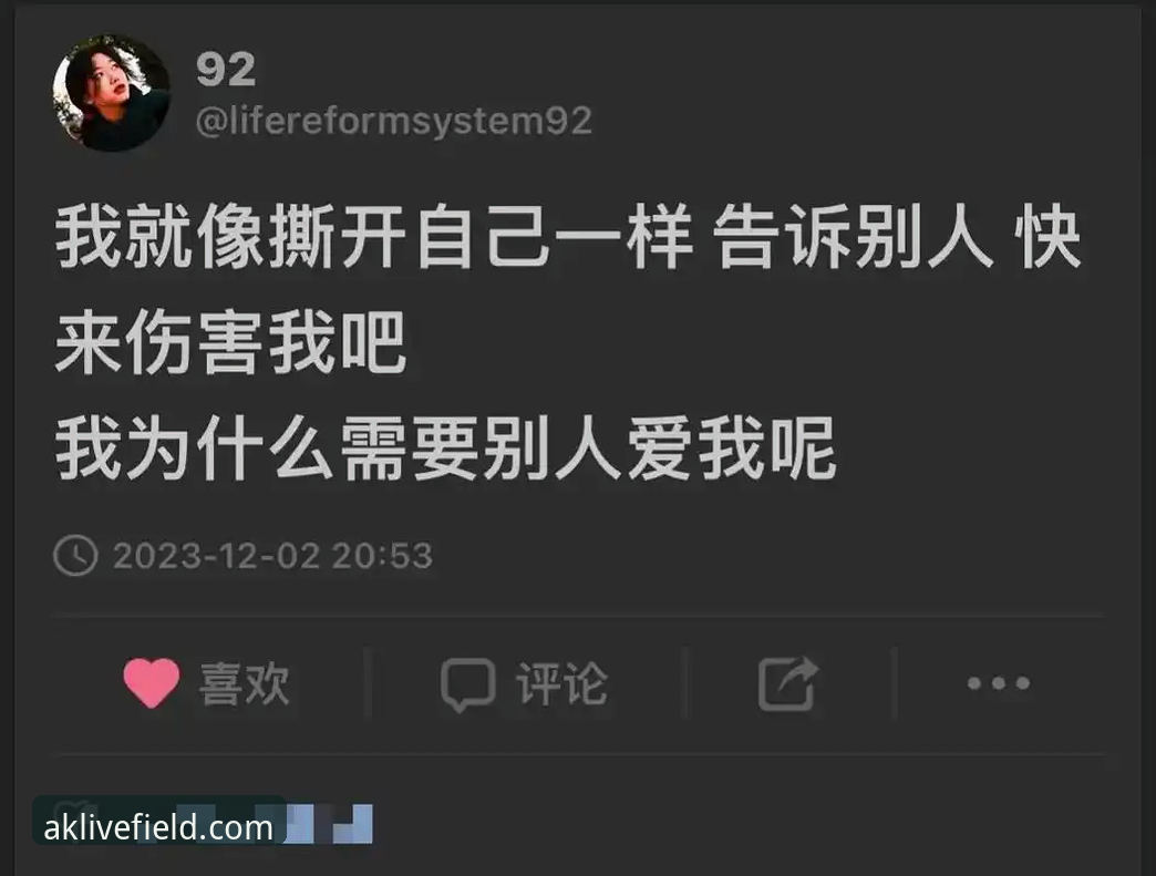 匈牙利站最后一圈逆袭夺冠事件全解析 - AK体育直播